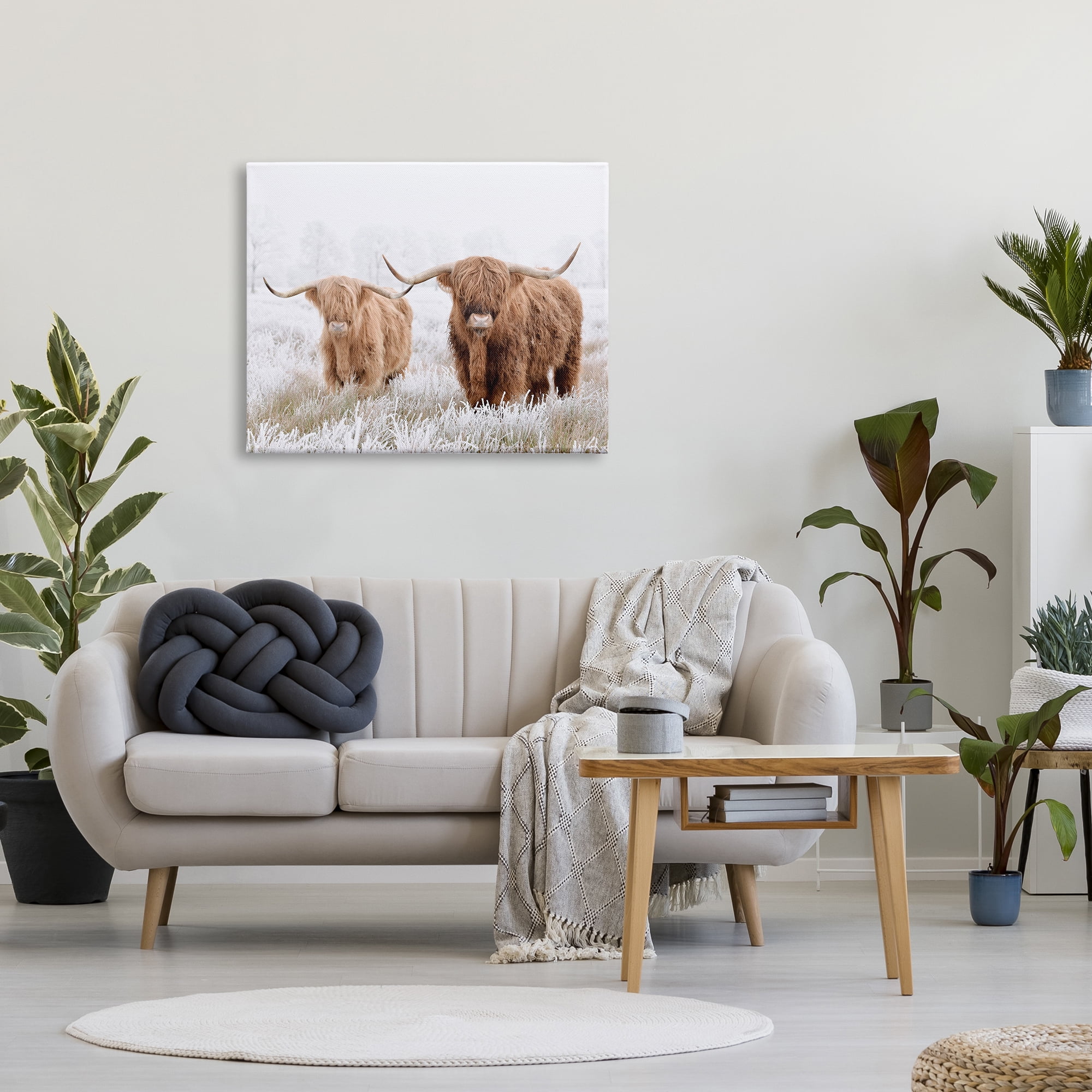 Stupell Industries Longhorn Cows in Snow Animals & Insects Photography Gallery Wrapped Canvas Art Print Wall Art, 40 x 30