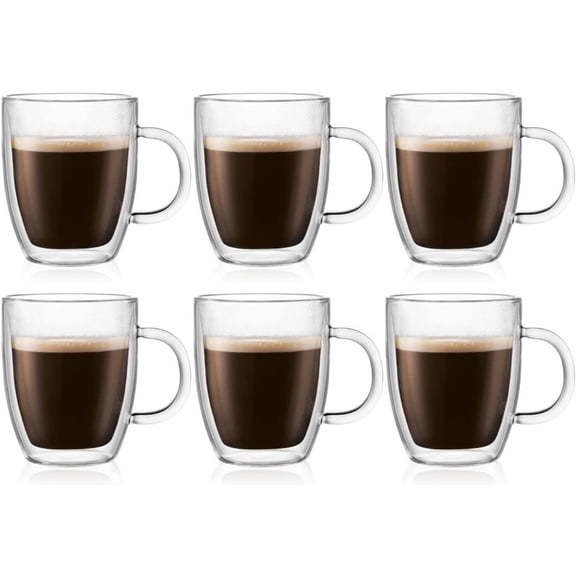 10oz Double Wall Insulated Mug, High-Heat Borosilicate Glass, Set of 6, Clear