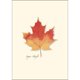thumbnail image 2 of Juego de tarjetas de notas Earth Sky + Water 9x13 cm (8 unidades), 2 of 4
