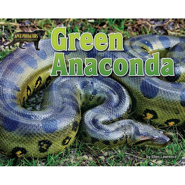 Apex Predators Of The Amazon Rain Forest Green Anaconda Hardcover Walmart Com Apex Predators Of The Amazon Rain Forest Green Anaconda Hardcover Walmart Com