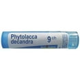 thumbnail image 3 of Boiron Phytolaca Decandra 200CH, 3 of 3