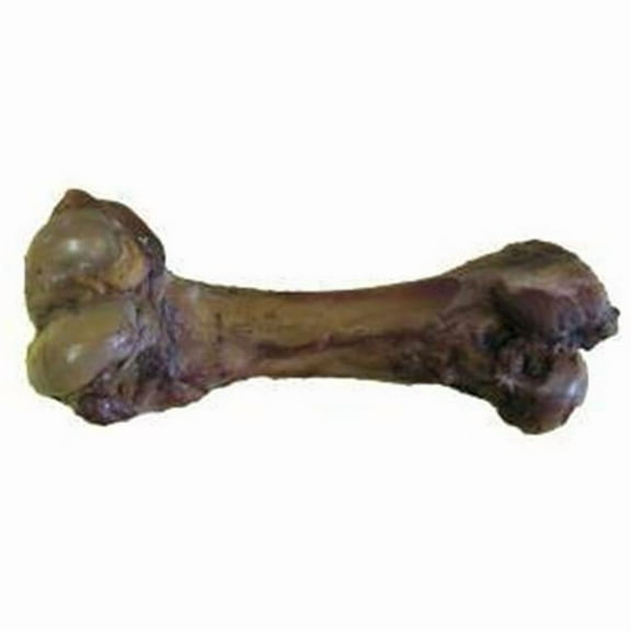 Best Buy Bones 395112 9 in. USA Juicy Ham Bone C Equal to 15