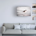 thumbnail image 3 of Blue Palomino 'Peeking Piper' Canvas Art, 3 of 3