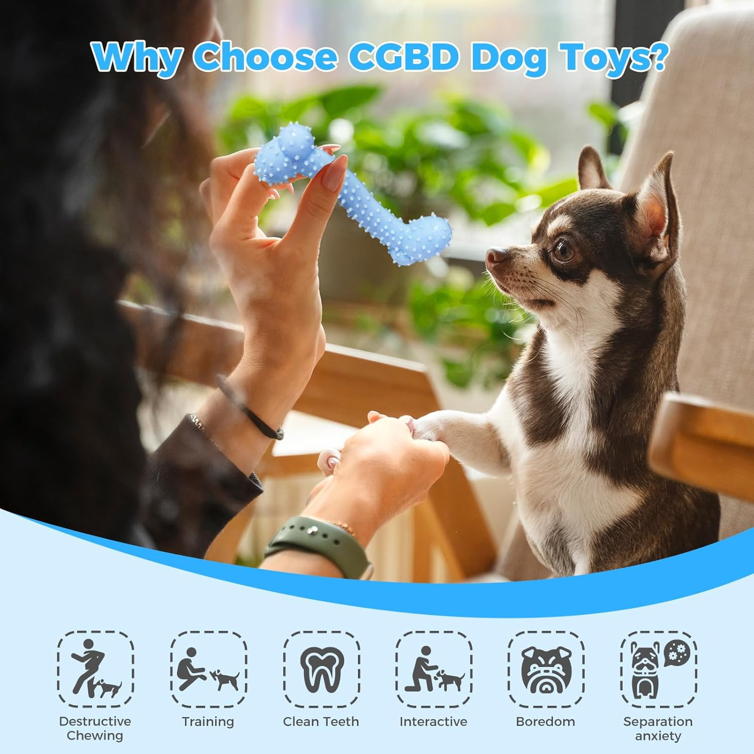 Puppy Toys, 9 Pack Dog Chew Toys for Puppy, Cute Blue Small Dog Toys, Teething Toys for Puppies, Soft Durable Interactive Chew Toy for Small Dogs
