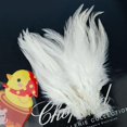 thumbnail image 4 of Craft Rooster Coque Plumas 3-4" Longitud 10 Colores disponibles Baoblaze Calendarios de usos múltiples, 4 of 7