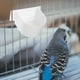 thumbnail image 4 of 4 comederos para pájaros, jaulas para pájaros, comederos para loros, periquitos y cacatúas., 4 of 5