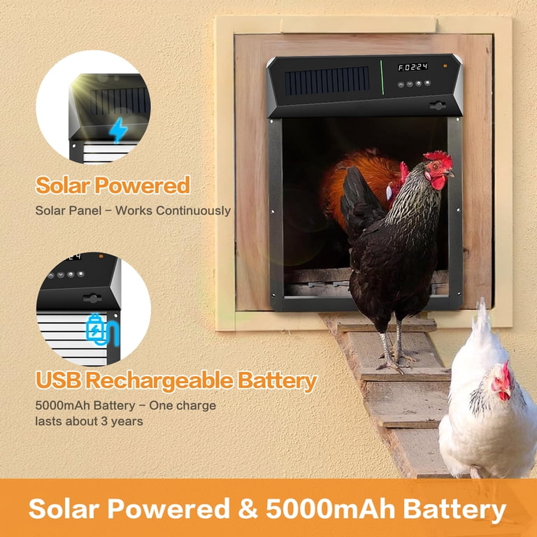 Automatic Chicken Coop Door Solar Powered With Timer Ghana