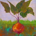 thumbnail image 3 of Altug, Mehmet 12x12 Black Modern Framed Museum Art Print Titled - Veggie Garden IV, 3 of 5