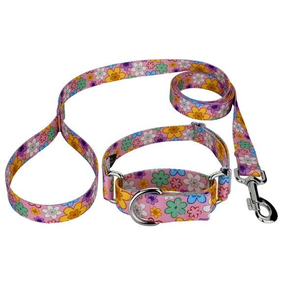 Country Brook Petz® May Flowers Martingale Dog Collar and Leash, Small