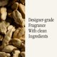 thumbnail image 4 of Recarga de fragancia Pura and Allos para difusores de aire domésticos inteligentes, 4 of 7