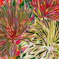 thumbnail image 2 of Burghardt, James 20x20 Black Ornate Wood Framed with Double Matting Museum Art Print Titled - Spring Mix I, 2 of 4