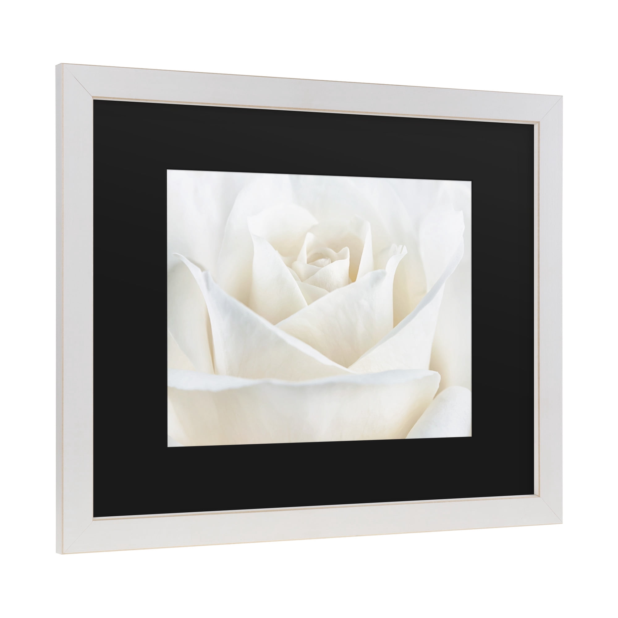 Trademark Fine Art 'Pure White Rose' Canvas Art by Cora Niele