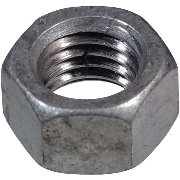 Hillman 59561 0.31 in. Stainless Steel SAE Hex Nut, Pack of 100