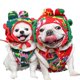 thumbnail image 2 of Vestido de año nuevo, vestido para mascotas, ropa para perros y gatos, ropa para perros, ropa de otoño e invierno, suministros para festivales, chaleco cálido para perros de Navidad, 2 of 5