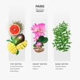 thumbnail image 2 of Aceite difusor de fragancias AROMAPLAN Hotel Scents Paris 148 ml, 2 of 6