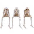 thumbnail image 1 of Halloween Fireplace Simulation Skull Combination Resin Decor,Skeleton Decoration, 1 of 5