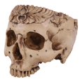 thumbnail image 1 of Ornamento de Halloween de Animada con Jarrón BLESIY Maceta de cráneo humano Relastic, 1 of 8