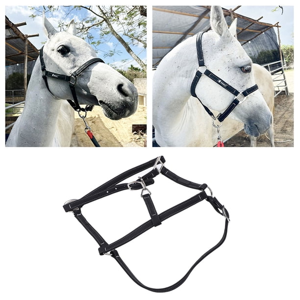 Brida De Caballo De Nylon Ajustable, Accesorio De Arnés Del Techo De Cabeza Con Cuerda De Tracción De Alta Resistencia, Liviano Para Equipo Ecuestre