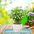 thumbnail image 3 of 2 Pcs Flower Pot Tray Rectangular Plant Drip Trays Plant Water Trays for Indoors Plant Drainage Tray Blue, 3 of 6