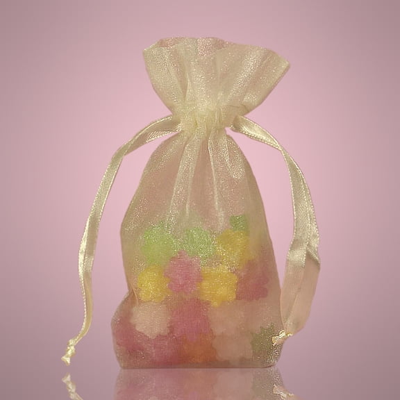 30pcs Ivory Wedding Organza Favor Gift Bags 3x4 inch
