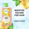 thumbnail image 2 of Herbal Essences Body Envy Volumizing Daily Conditioner, 29.2 fl oz, 2 of 9