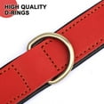 thumbnail image 2 of Didog Personalized Leather Name Dog Collar Soft Padded Adjustable for Small Large Pets, 2 of 6
