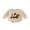 Khaki, variant on Cjfdfy Newborn Baby Boy Girl Hallow Outfit Infant Baby Fall Clothes Waffled Bubble Romper Ghost Pumpkin in Tractor Embroidery Long Sleeve Bodysuit Playsuit