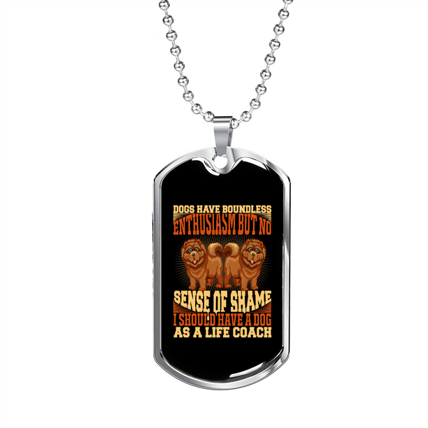 Sense of Shame Necklace Stainless Steel or 18k Gold Dog Tag 24 Chain Walmart