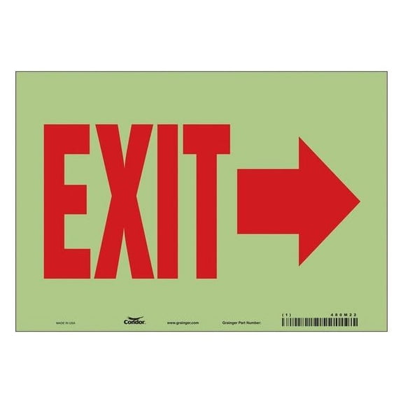 Condor Exit Sign, Vinyl, 10" W, 7" H, Exit, White 480M22