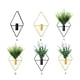 thumbnail image 4 of Naiovety Soporte geométrico de pared para plantas de fácil instalación, macetas colgantes de amplia aplicación elegantes y duraderas Decoración del hogar hojas verdes doradas, 4 of 6