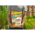 thumbnail image 5 of Scotts Turf Builder SummerGuard Lawn Food with Insect Killer, 5,000 sq. ft., 13.35 lb, 5 of 8