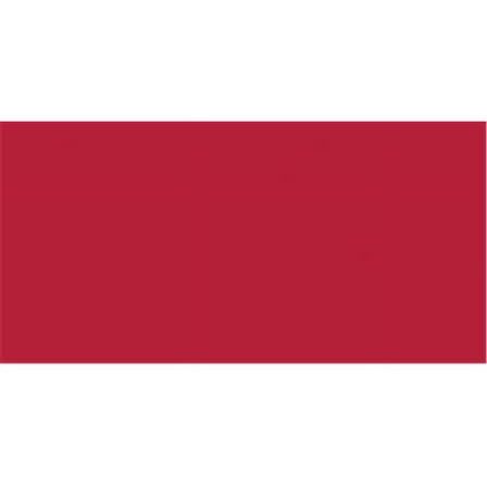 Versacolor Pigment Mini Ink Pad-Cardinal