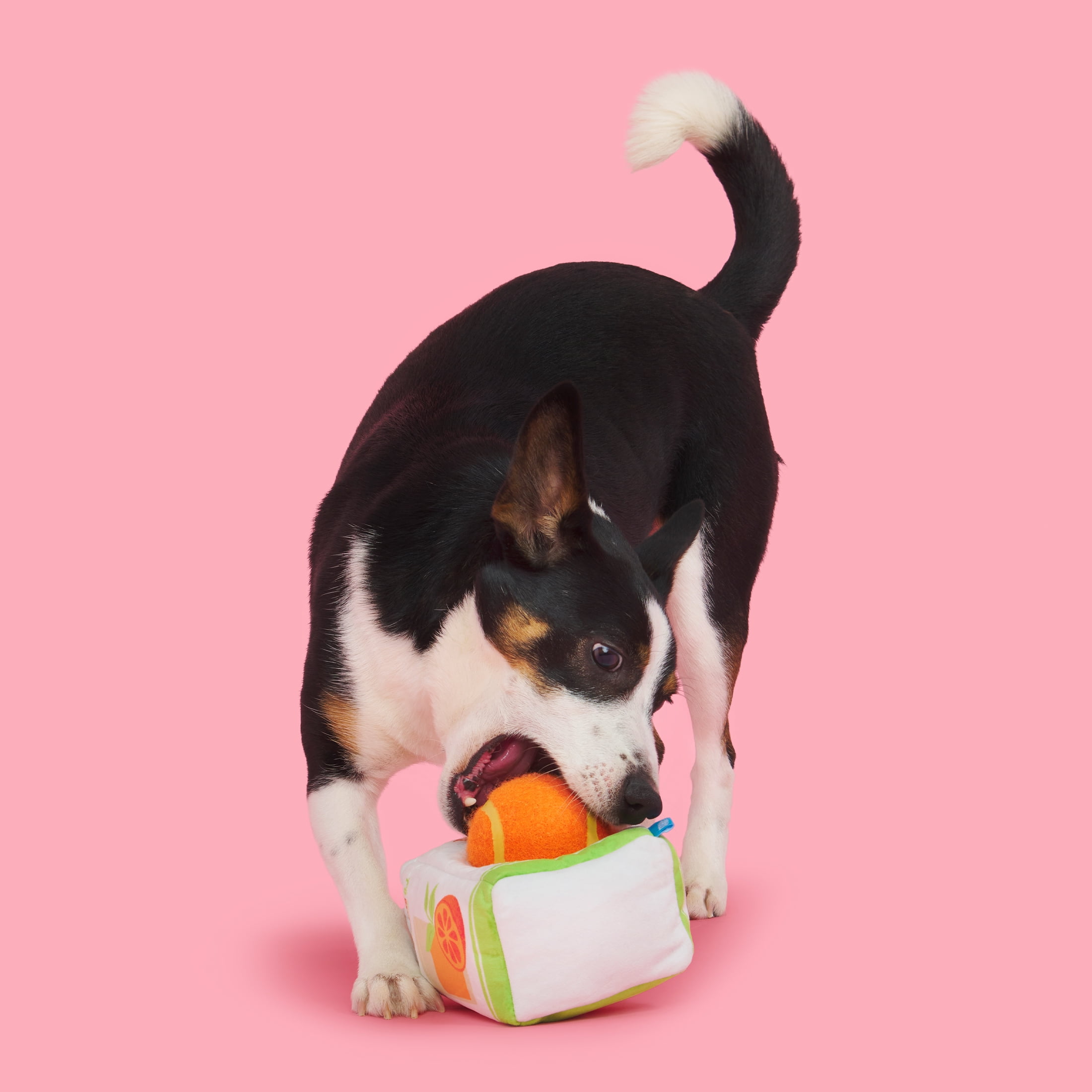BARK Barkfest in Bed, 2-in-1 Plush Toy and Tennis Ball Combo, Orange