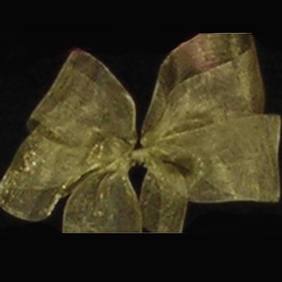 The Ribbon People Soft Pine Green Solid Organdy Craft Ribbon 4" x 55 Yards