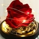 thumbnail image 5 of Amoroso corazón cubierta de vidrio simulación plástico rosa flor lámpara LED decoración luz nocturna para regalo del día de San Valentín rojo, 5 of 8