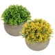 thumbnail image 3 of GOOHOCHY 2 sets Adornos de sala de estar de Bonsai Artificial para decoración (amarillo, verde), 3 of 4