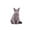 Multicolor, variant on CASAFUN Cat Shape Plush Pillow Pet Pillow, 3D Decorative Ornaments, Cat Pillow for Festivals Childrens