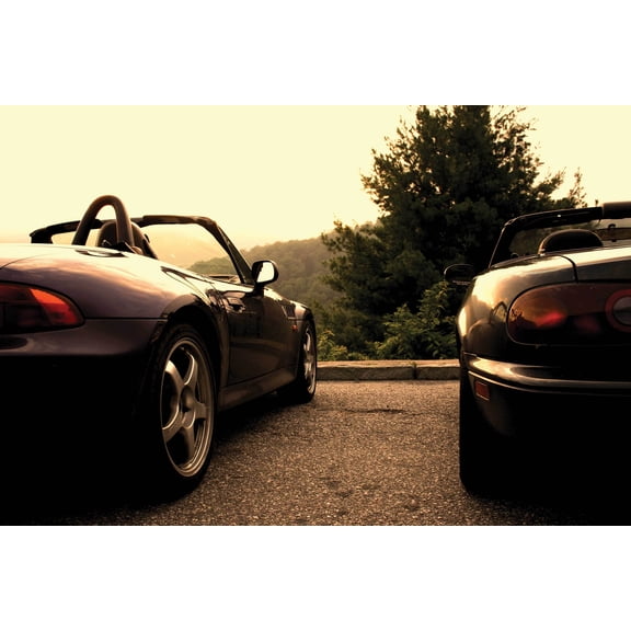 Shaffer Sports Cars Wall Decal