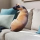 thumbnail image 1 of Almohada de perro en 3D, muñeco de animales abrazados, juguetes divertidos para niños, animales de peluche, juguete de felpa para habitación de niños,, 1 of 8