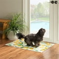 thumbnail image 2 of Linon Washable Saylor Polyester 2'x3' Rug in Ivory, 2 of 19