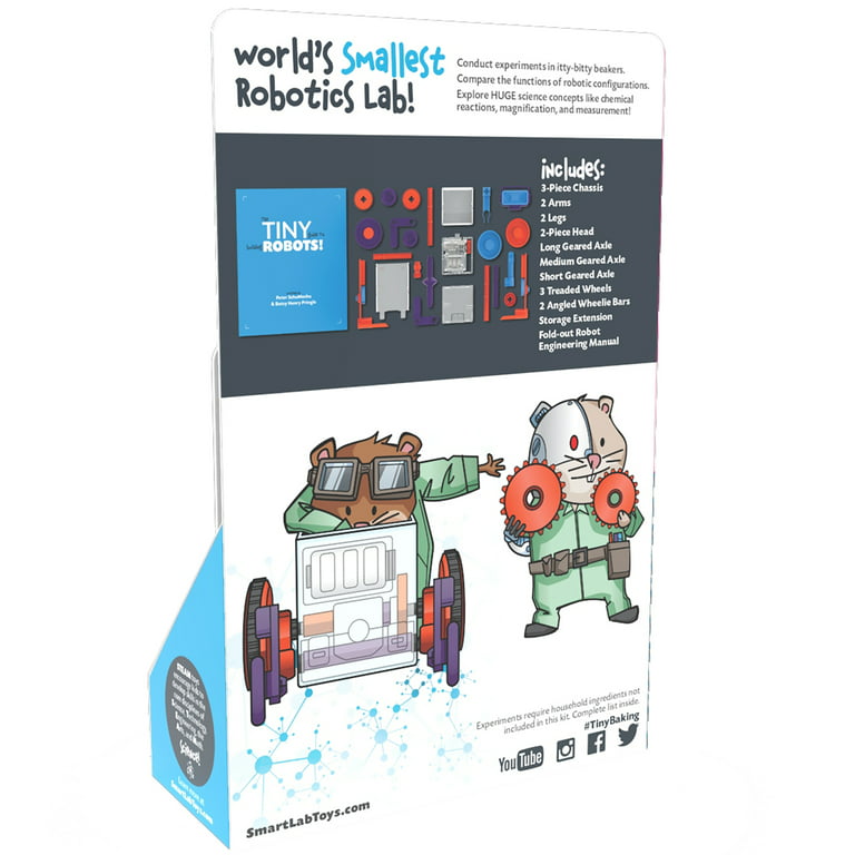 SmartLab Toys Tiny Art! - 10 Enormously Artistic Activities. Big Science.  Tiny Tools, Multi