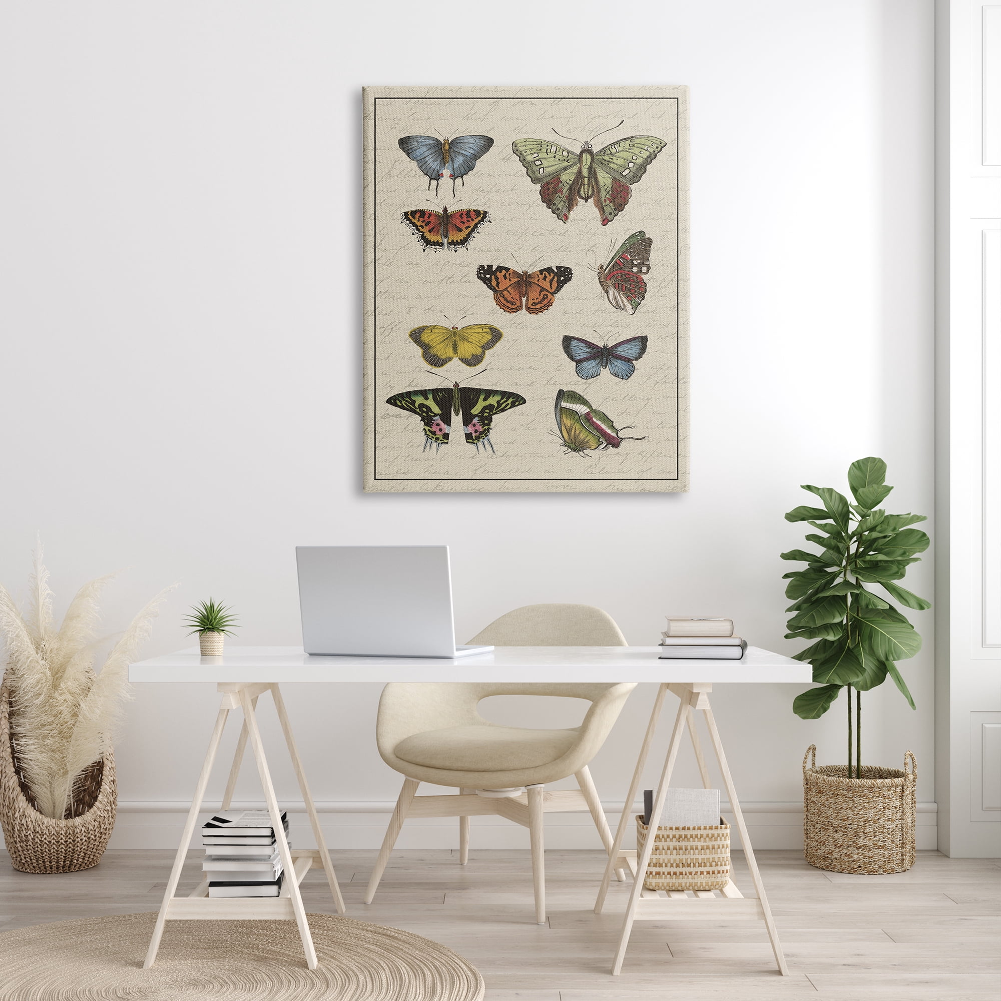 Stupell Industries Vintage Butterfly Study over Muted Cursive Script Animals & Insects Painting Gallery Wrapped Canvas Print Wall Art, 36 x 48