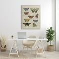 thumbnail image 2 of Stupell Industries Vintage Butterfly Study over Muted Cursive Script Animals & Insects Painting Gallery Wrapped Canvas Print Wall Art, 36 x 48, 2 of 6