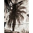 thumbnail image 2 of Blue, Cyril 19x24 White Modern Wood Framed Museum Art Print Titled - Palm Shadow, Antibes, 2 of 4