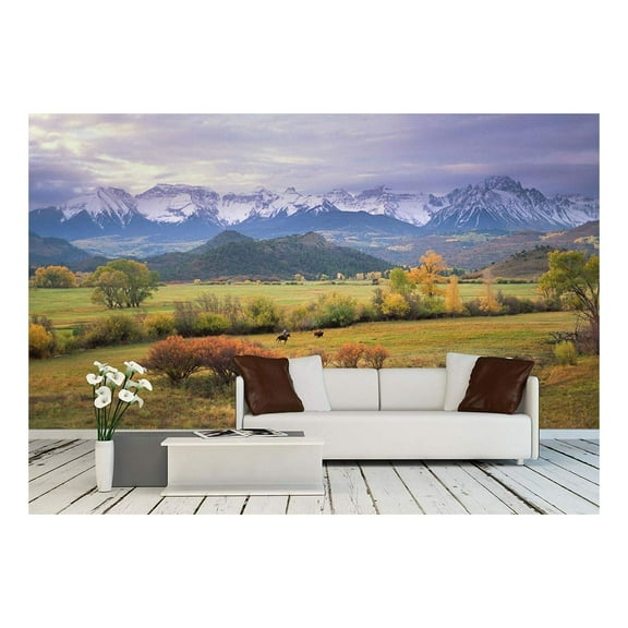 wall26 - on a Rare Overcast Morning in Southwest Colorado, a Rancher Rounds Up The Last Stray Cattle Just Before Daybreak. - Removable Wall Mural | Self-Adhesive Large Wallpaper - 66x96 inches