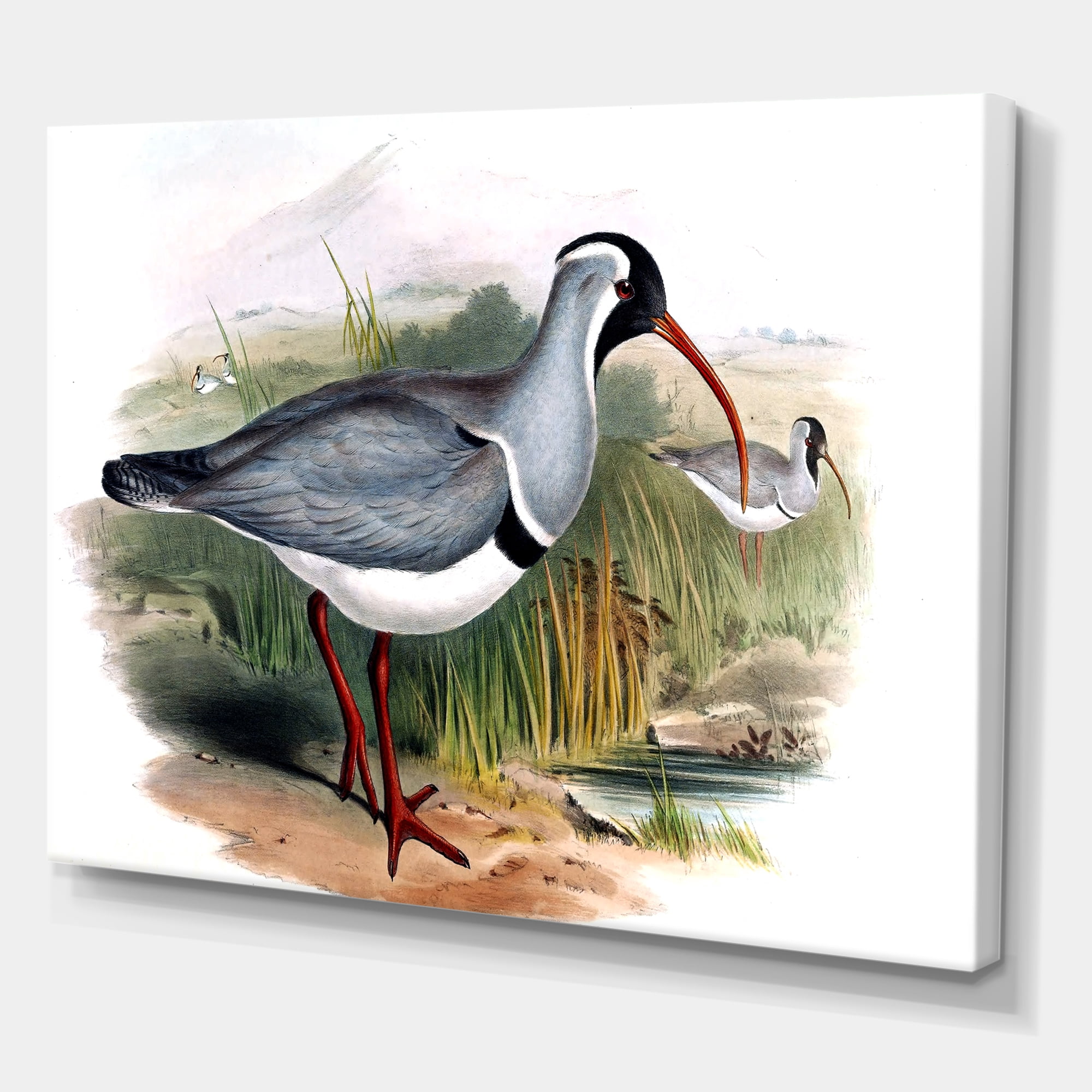 Vintage Countryside Birds In Wild 8 in x 12 in Painting Canvas Art Print, by Designart