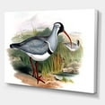 thumbnail image 3 of Designart ' Vintage Countryside Birds In Wild ' Farmhouse Canvas Wall Art Print, 3 of 4