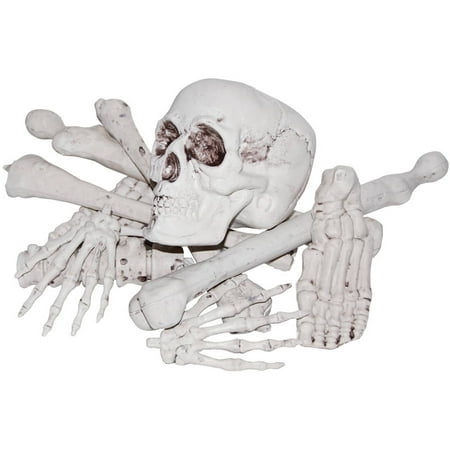 Bag of Bones Halloween Decoration