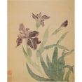 thumbnail image 2 of Ma Yuanyu 12x14 Black Ornate Wood Framed Double Matted Museum Art Print Titled: Irises (1690), 2 of 5