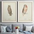 thumbnail image 7 of Scops- Eared Owl - Premium Framed Canvas 2 Piece Set - Ready to Hang, 7 of 7
